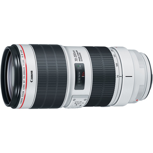 EF 70-200 f/2.8L IS USM +EF1.4 ✖️Ext Ⅲ Amazon.com : Canon EF 70-200mm f/2.8L USM Telephoto Zoom