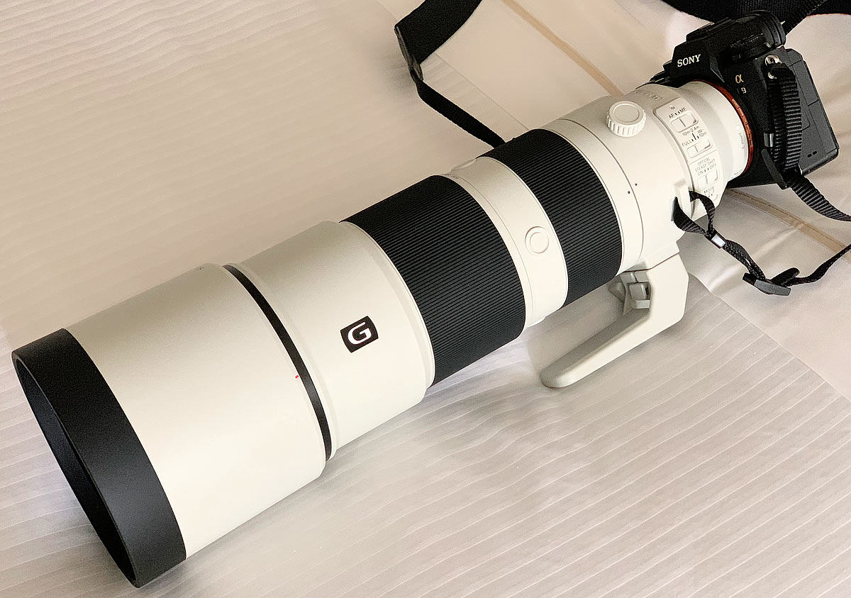 【美品】SEL200600G Sony FE 200-600mm f/5.6-6.3 G OSS Lens SEL200600G + VND