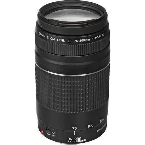 Canon EF 75-300mm f/4-5.6 III Lens (Black) + 500mm Preset Lens +