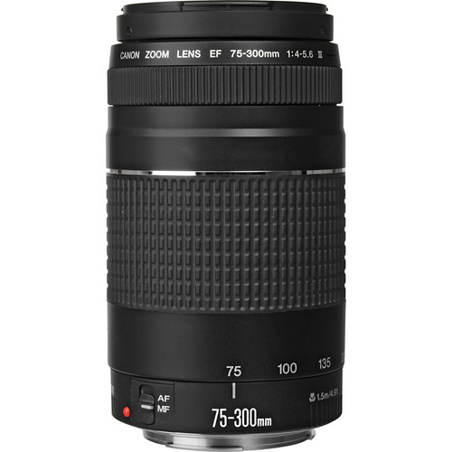 Canon EF 75-300mm f/4-5.6 III Lens (Black) + 500mm Preset